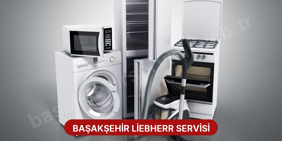 Başakşehir Liebherr Servisi